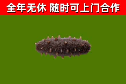 新余烟酒回收干海参.jpg